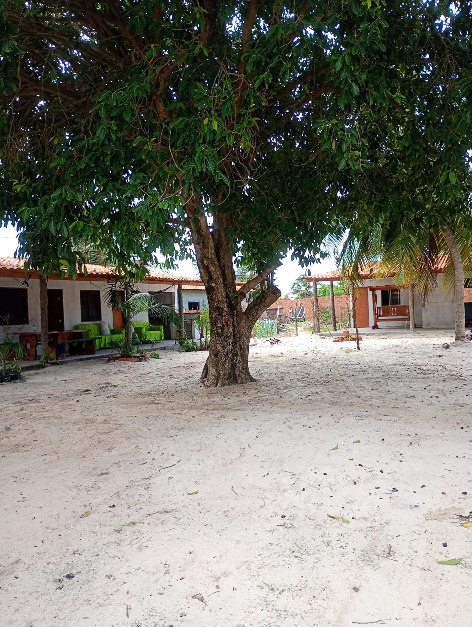 Hostel E Camping Na Rua Das Flores Santo Amaro do Maranhao Exterior foto